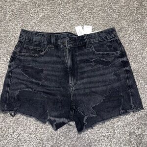 American Eagle short